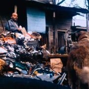 Cujo - galeria zdjęć - filmweb