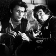 Fanfan la Tulipe - galeria zdjęć - filmweb