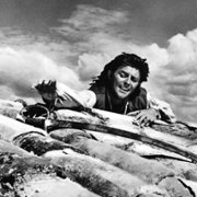 Fanfan la Tulipe - galeria zdjęć - filmweb
