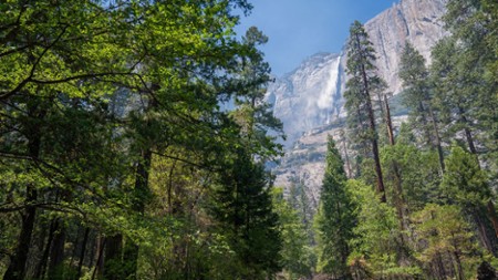 Sezon 1 Odcinek 2 Park Narodowy Yosemite