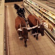 Onirica - galeria zdjęć - filmweb