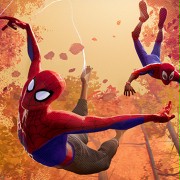 Spider Man Uniwersum - galeria zdjęć - filmweb