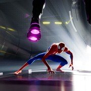 Spider-Man Uniwersum - galeria zdjęć - filmweb