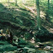 Putty Hill - galeria zdjęć - filmweb