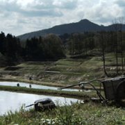 Gąsienica - galeria zdjęć - filmweb