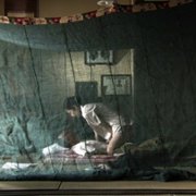 Kyatapirâ - galeria zdjęć - filmweb