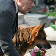 Rezerwat - galeria zdjęć - filmweb