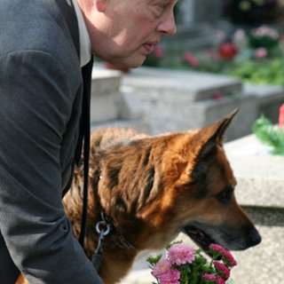 Pijak