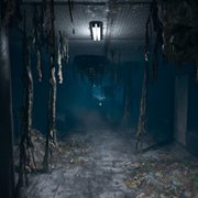 Nebraska - galeria zdjęć - filmweb