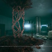 Nebraska - galeria zdjęć - filmweb