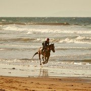 Ride Like a Girl - galeria zdjęć - filmweb