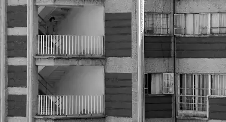 Muchy - galeria zdjęć - filmweb