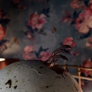 Pahanhautoja - galeria zdjęć - filmweb