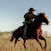 Ranczo Dutton&oacute;w - galeria zdjęć - filmweb