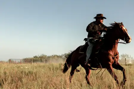 Ranczo Dutton&oacute;w - galeria zdjęć - filmweb