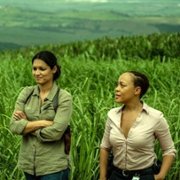 Reyka - galeria zdjęć - filmweb
