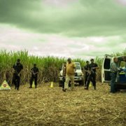 Reyka - galeria zdjęć - filmweb
