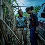 Reyka - galeria zdjęć - filmweb