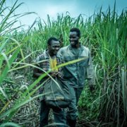 Reyka - galeria zdjęć - filmweb