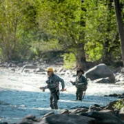 The Madison - galeria zdjęć - filmweb