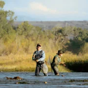 The Madison - galeria zdjęć - filmweb