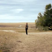 The Madison - galeria zdjęć - filmweb