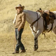 The Madison - galeria zdjęć - filmweb