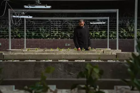 The Kitchen - galeria zdjęć - filmweb