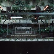 The Kitchen - galeria zdjęć - filmweb