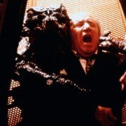 Mucha 2 - galeria zdjęć - filmweb