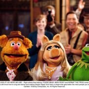 The Muppets - galeria zdjęć - filmweb