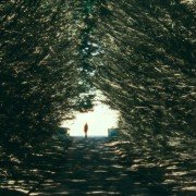 The Other Side Of Sleep - galeria zdjęć - filmweb