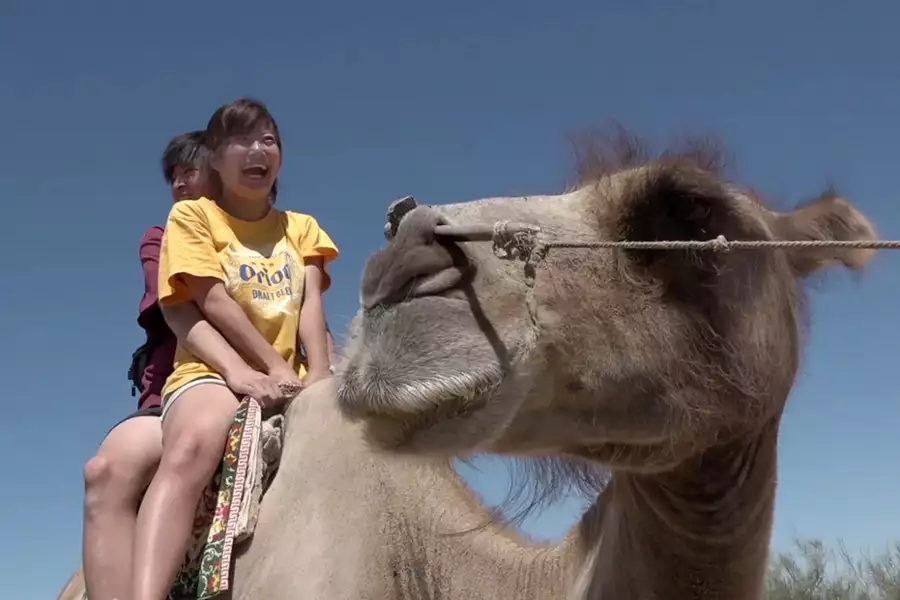 Ainori Love Wagon: Asian Journey - galeria zdjęć - filmweb