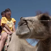 Ainori Love Wagon: Asian Journey - galeria zdjęć - filmweb