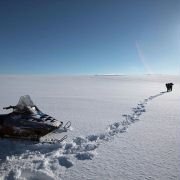 The Last Winter - galeria zdjęć - filmweb