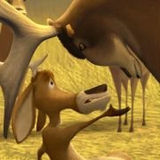 Open Season - galeria zdjęć - filmweb