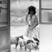 Mamma Roma - galeria zdjęć - filmweb