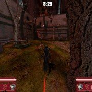 Apocalyptica - galeria zdjęć - filmweb