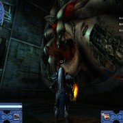 Apocalyptica - galeria zdjęć - filmweb