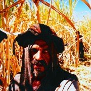W cieniu słońca - galeria zdjęć - filmweb