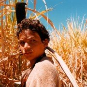 Abril Despedaçado - galeria zdjęć - filmweb