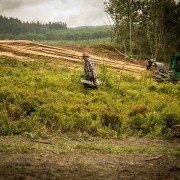 Mandy - galeria zdjęć - filmweb