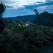 Mandy - galeria zdjęć - filmweb