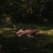 Zawiany las - galeria zdjęć - filmweb