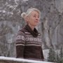 Zawiany las - galeria zdjęć