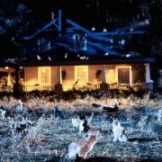 Sleepwalkers - galeria zdjęć - filmweb