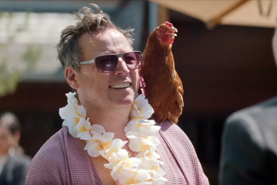 King of Stonks - galeria zdjęć - filmweb