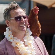King of Stonks - galeria zdjęć - filmweb