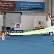 We Are the Champions - galeria zdjęć - filmweb