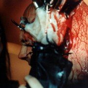 Cradle of Fear - galeria zdjęć - filmweb